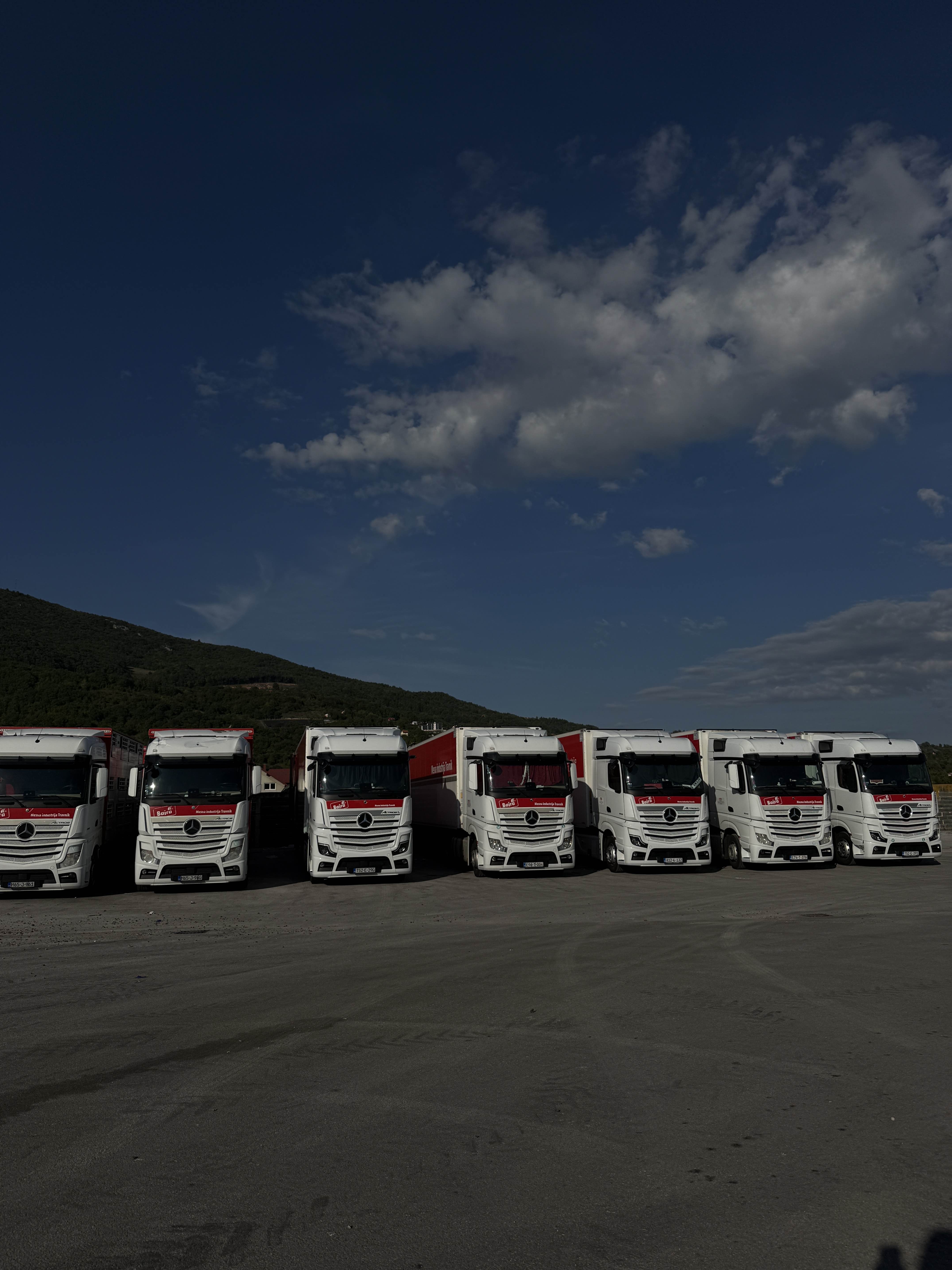 Distribucija